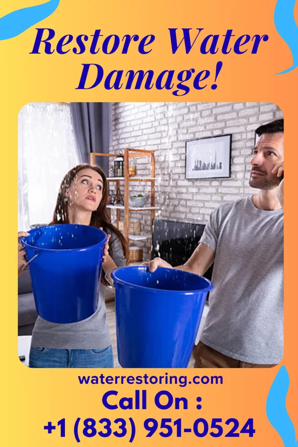 water restoration Vigilant Water Mitigation Services Cornell