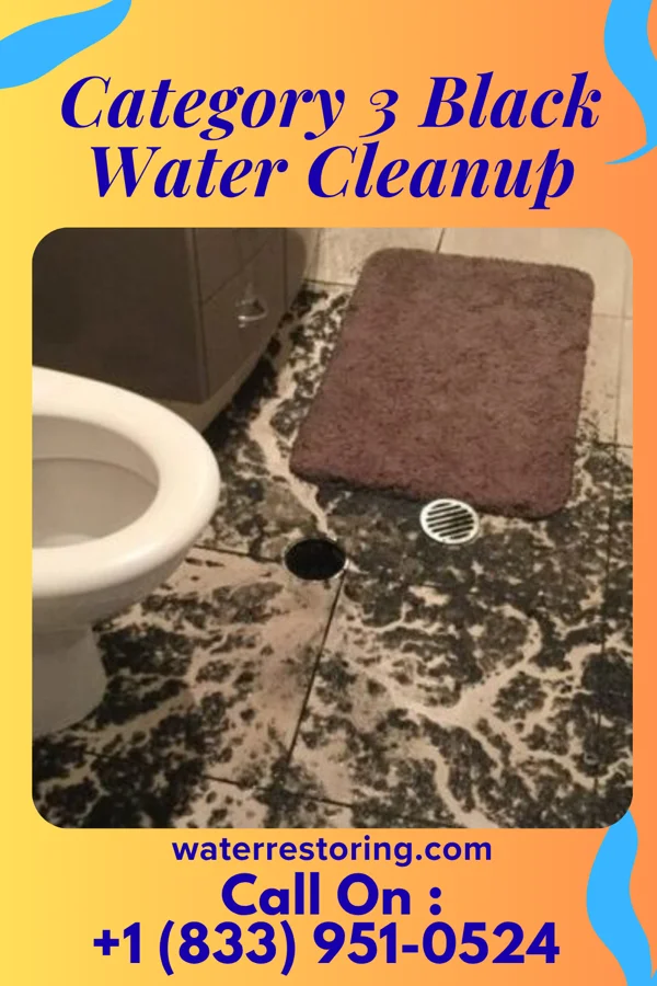 Category 3 Black Water Cleanup in Cornell, WI