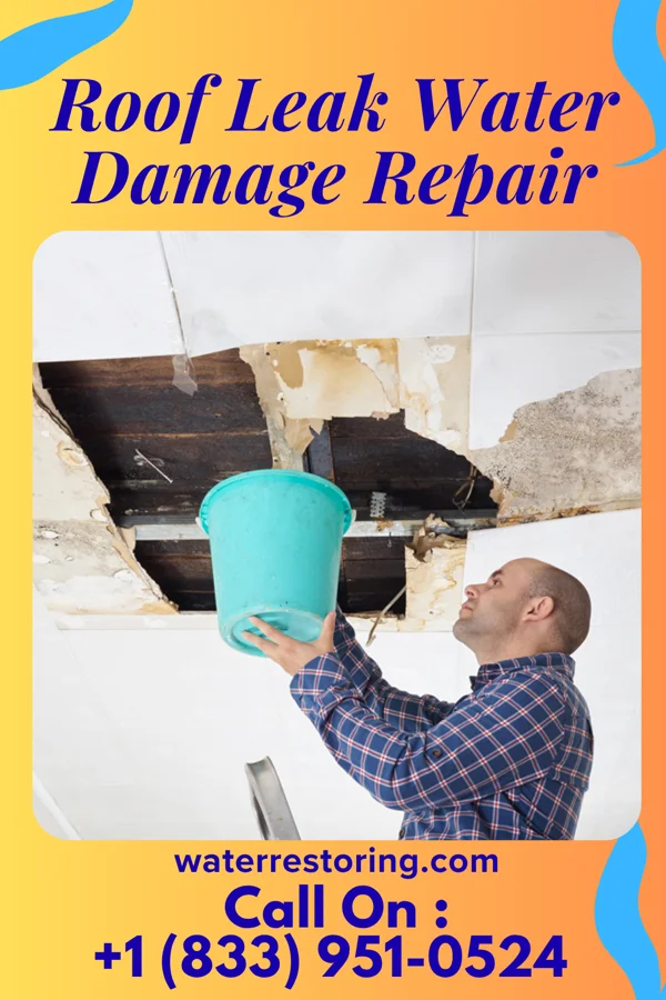 Roof Leak Water Damage Repair in Cornell, WI
